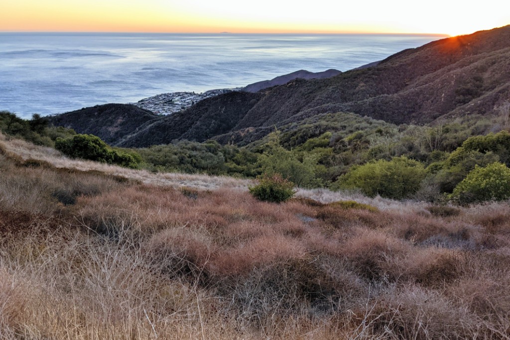 Topanga State Park