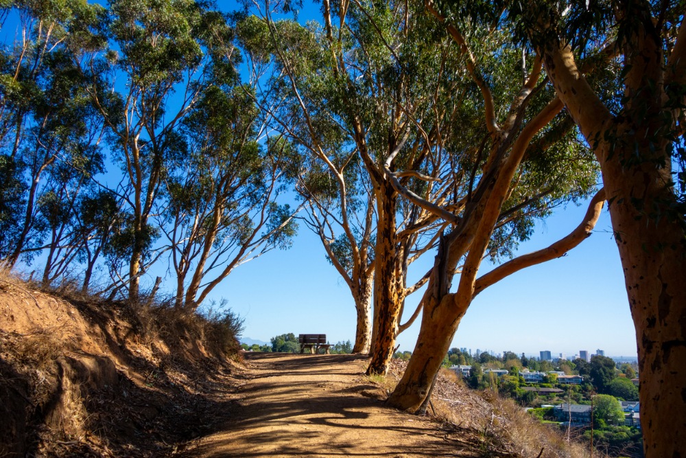 Pacific Palisades