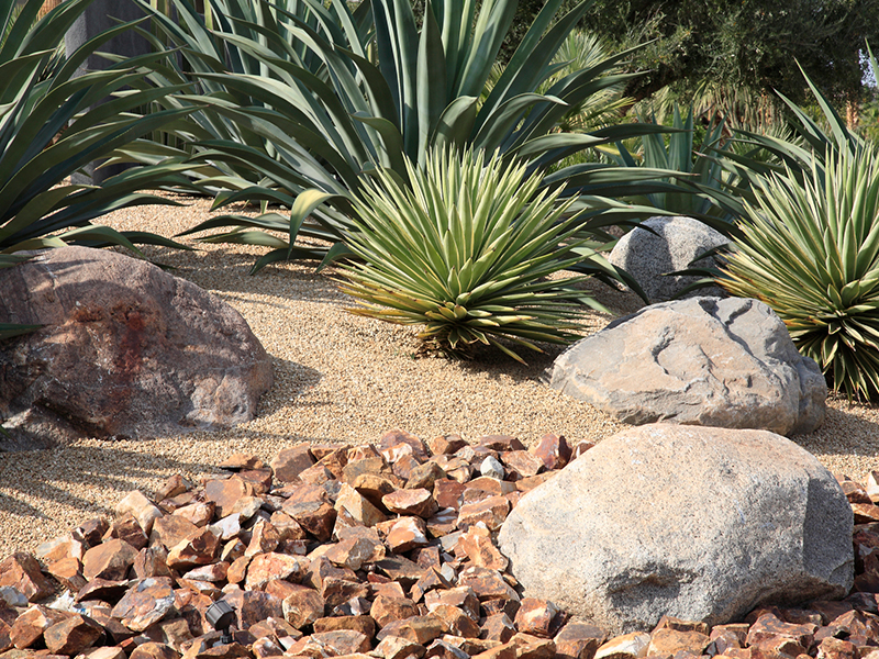 backyard landscaping