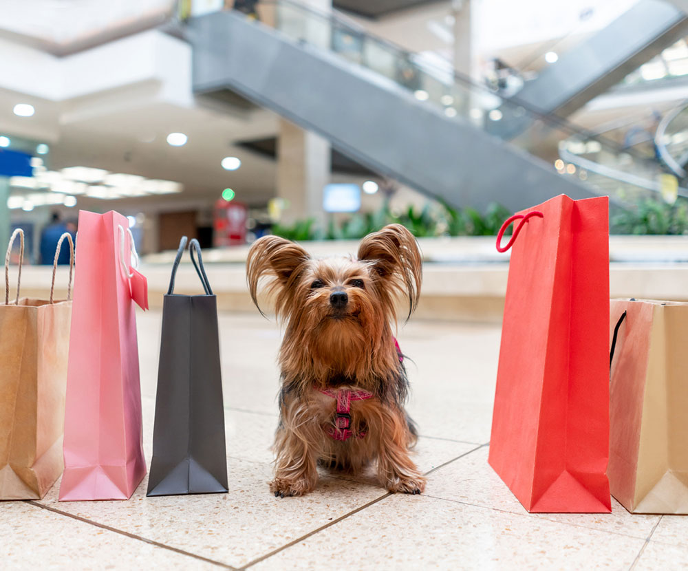 Shopping Dog
