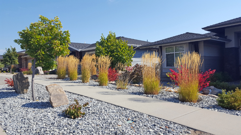 How to Implement Xeriscaping