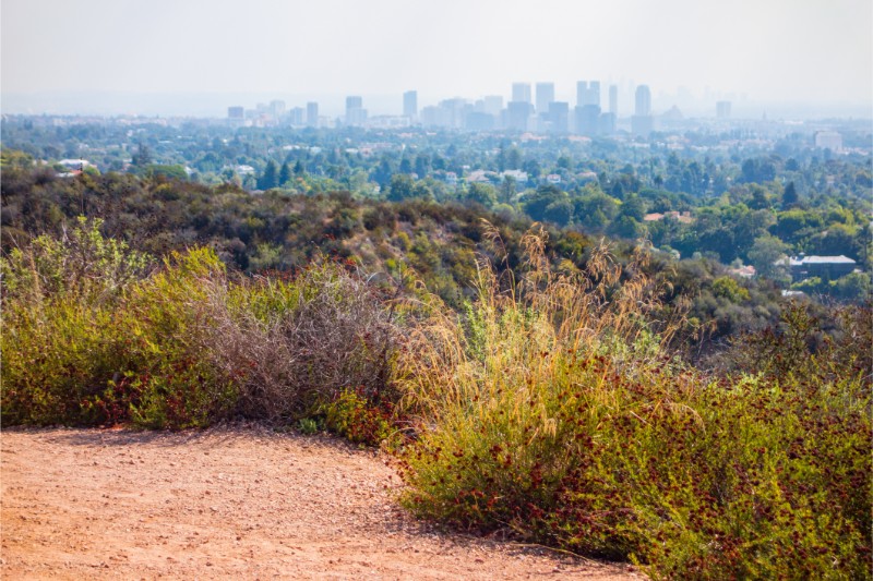The Canyons of Pacific Palisades